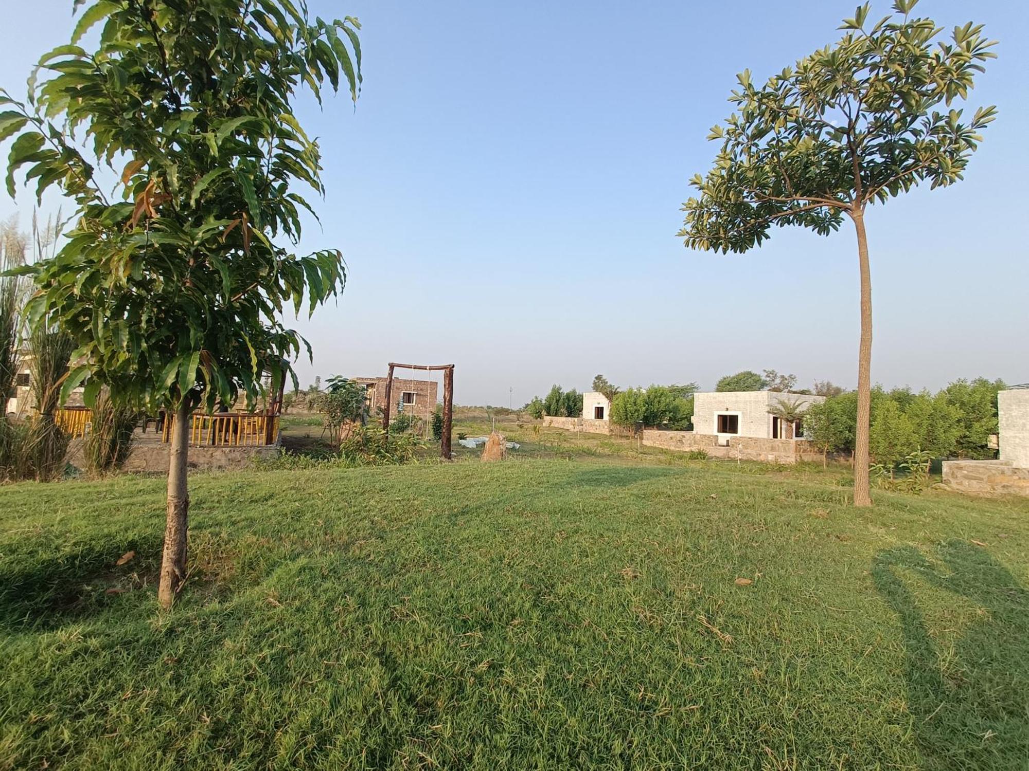 Jawai Wildlife Safari Camp Bed & Breakfast Nana Eksteriør bilde