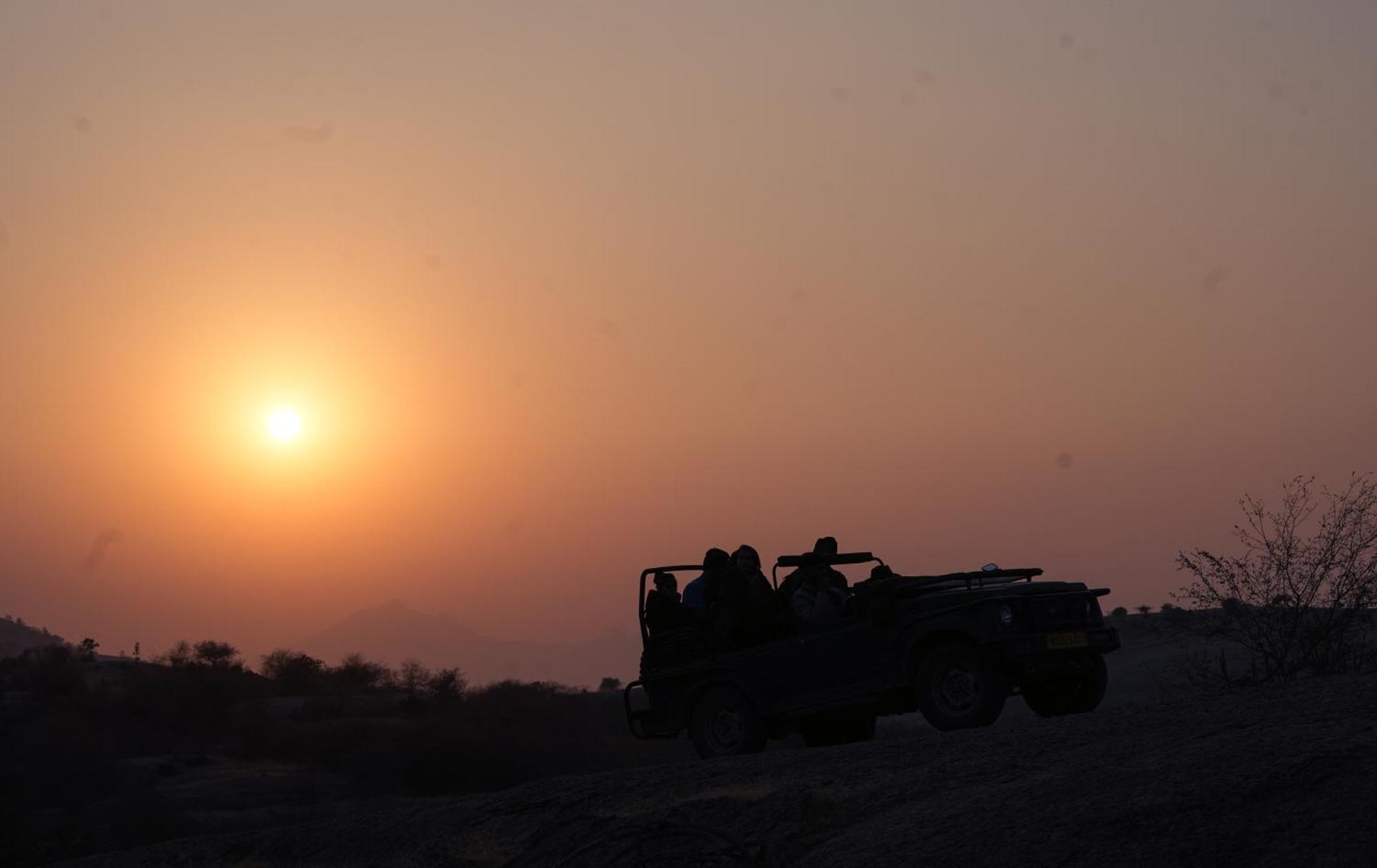Jawai Wildlife Safari Camp Bed & Breakfast Nana Eksteriør bilde