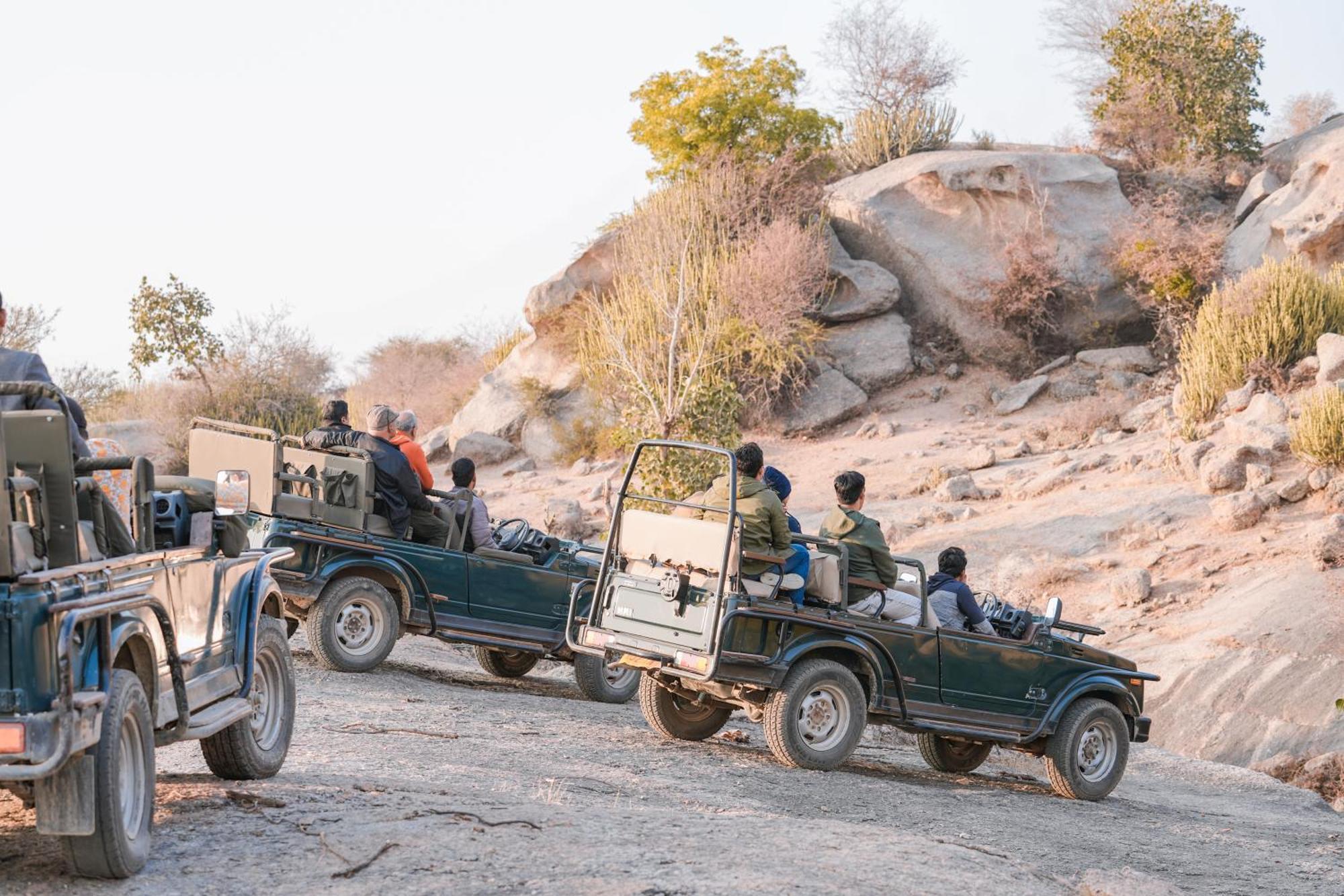 Jawai Wildlife Safari Camp Bed & Breakfast Nana Eksteriør bilde